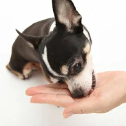 <span class="HwtZe" lang="zh-TW"><span class="jCAhz ChMk0b"><span class="ryNqvb">【獸醫研發】 </span></span></span> <span class="HwtZe" lang="zh-TW"><span class="jCAhz ChMk0b"><span class="ryNqvb">這是一款幫助不愛吃藥的狗狗吃藥的輔助零食。 </span></span><span class="jCAhz ChMk0b"><span class="ryNqvb">狗狗都喜歡雞柳味。</span></span></span> <span class="HwtZe" lang="zh-TW"><span class="jCAhz ChMk0b"><span class="ryNqvb">・以雞柳為原料，因此非常美味。 </span></span></span><span class="HwtZe" lang="zh-TW"><span class="jCAhz ChMk0b"><span class="ryNqvb">・質地非常柔軟，可以輕鬆包裹藥物，可以放心服用。</span></span></span> <span class="HwtZe" lang="zh-TW"><span class="jCAhz ChMk0b"><span class="ryNqvb">■內容量：15個（約20g） </span></span></span><span class="HwtZe" lang="zh-TW"><span class="jCAhz ChMk0b"><span class="ryNqvb">■功能：狗狗用藥輔助零食 </span></span><span class="jCAhz ChMk0b"><span class="ryNqvb">■對象：所有階段狗狗（6個月以上）</span></span></span>