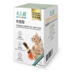 木入森 貓咪有關膝