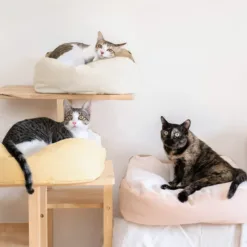 風乾潔牙骨小食 - 鹿草胃 | Ziwi Oral Healthcare Chews