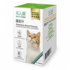 木入森 貓咪護疫升