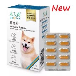 木入森 犬寶膚立好