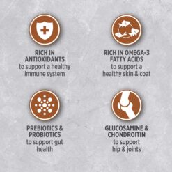 Nutrience Infusion 高級貓糧採用最優質的加拿大原料製成。這種粗磨食品是專門為滿足成年老年貓的營養需求而配製的，由新鮮雞肉和凍乾雞肉的獨特混合物製成，以確保即使是最挑剔的貓也會渴望的卓越風味和營養。 配方補充了強大的益生元和益生菌，以提供更好的營養吸收並促進更健康的消化道。葡萄糖胺和軟骨素水平的增加提供了先進的臀部和關節保護，讓您的老年貓可以更長時間地保持快樂和健康。富含牛磺酸，有益心臟健康。如果您想給您的毛茸茸的朋友最好的，Nutrience Infusion Senior Cat 是您的完美選擇。加拿大精心製造，並充滿您的貓會喜歡的有益健康成分！ <h3><strong>有益健康的水果和蔬菜</strong></h3> 整個水果和蔬菜含有豐富的抗氧化和植物營養素特性。 <h3><strong>髖關節和關節保護</strong></h3> 增加的葡萄糖胺和軟骨素水平可提供先進的髖關節和關節保護。 <h3><strong>營養補充品</strong></h3> 強大的益生元和益生菌可以更好地吸收營養並支持腸道健康。 <h3><strong>海洋來源 Omega-3</strong></h3> 鮭魚油是 DHA 和 EPA omega-3 脂肪酸的主要來源，可確保皮膚和皮毛健康。