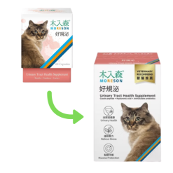 木入森 貓咪好規泌