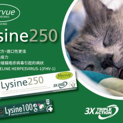 (新包裝 升級版) 離胺酸 Lysine250 (30ml) | 愛爾蘭 Mervue