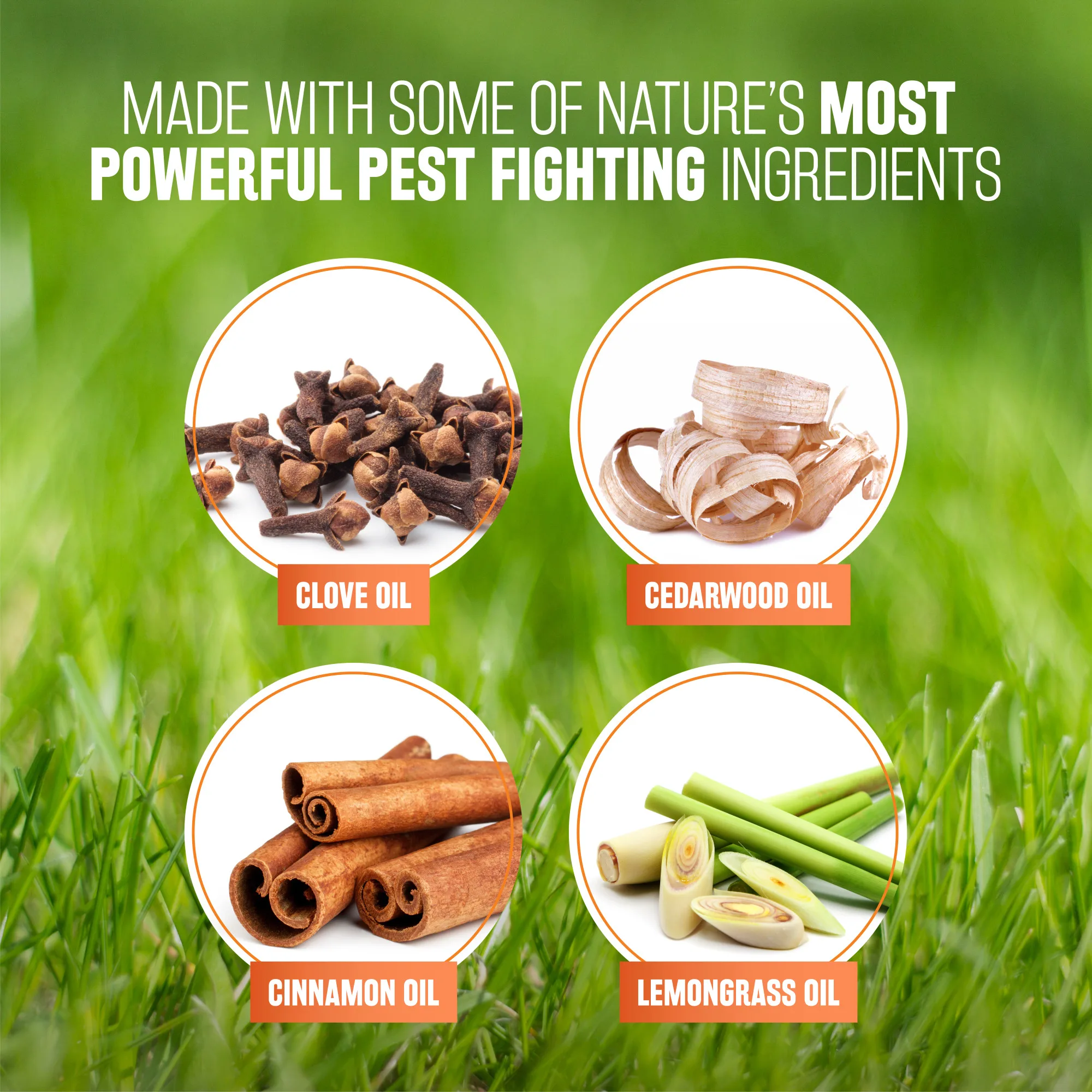 645095320017 Tropiclean 無毒性家居滅蚤噴霧 32oz | 有效殺滅成、幼蟲及蟲卵:圖片 4