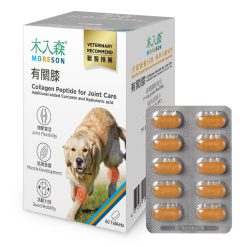 木入森 犬寶有關膝
